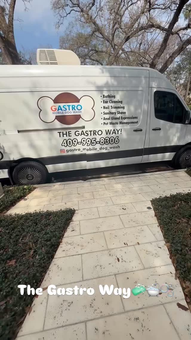 Groovn grooming Thursdays!!!!!!!! The Gastro Way🫧#thegastroway #houston #doglovers #dogsofinstagram #paws