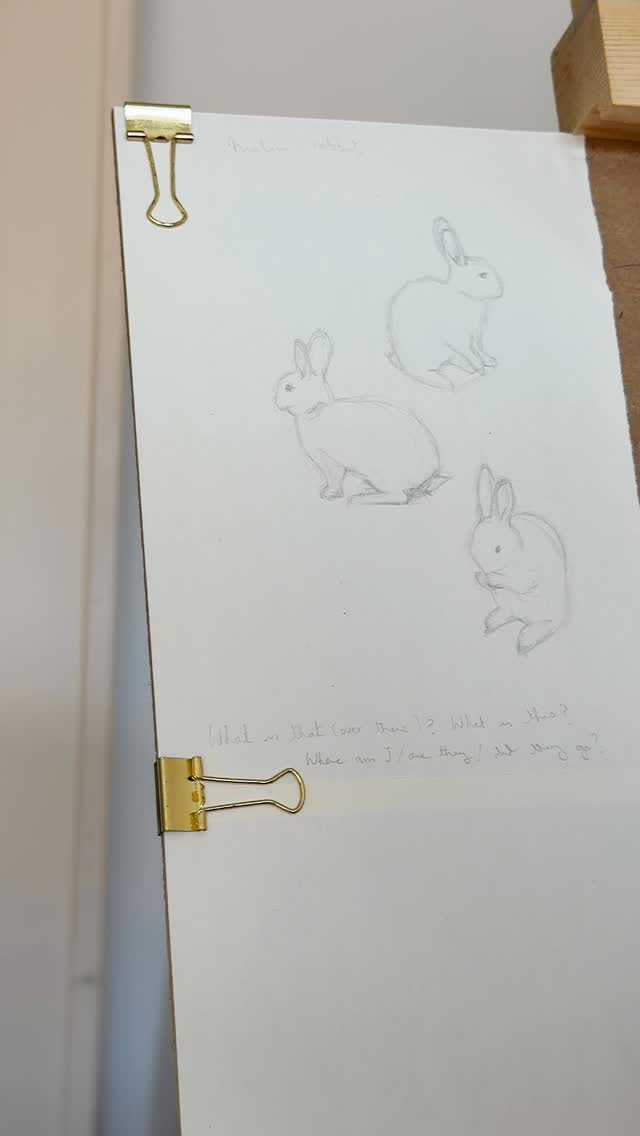Melou Rabbit sketching from photos and videos of our wild rabbits that I took a few months ago. Remembering that Melou is not a grown up rabbit like the one from the video reference for this particular sketch. #melousadventures #pencildrawings #animaldrawings #kidsbooks #jasminelillebyart
