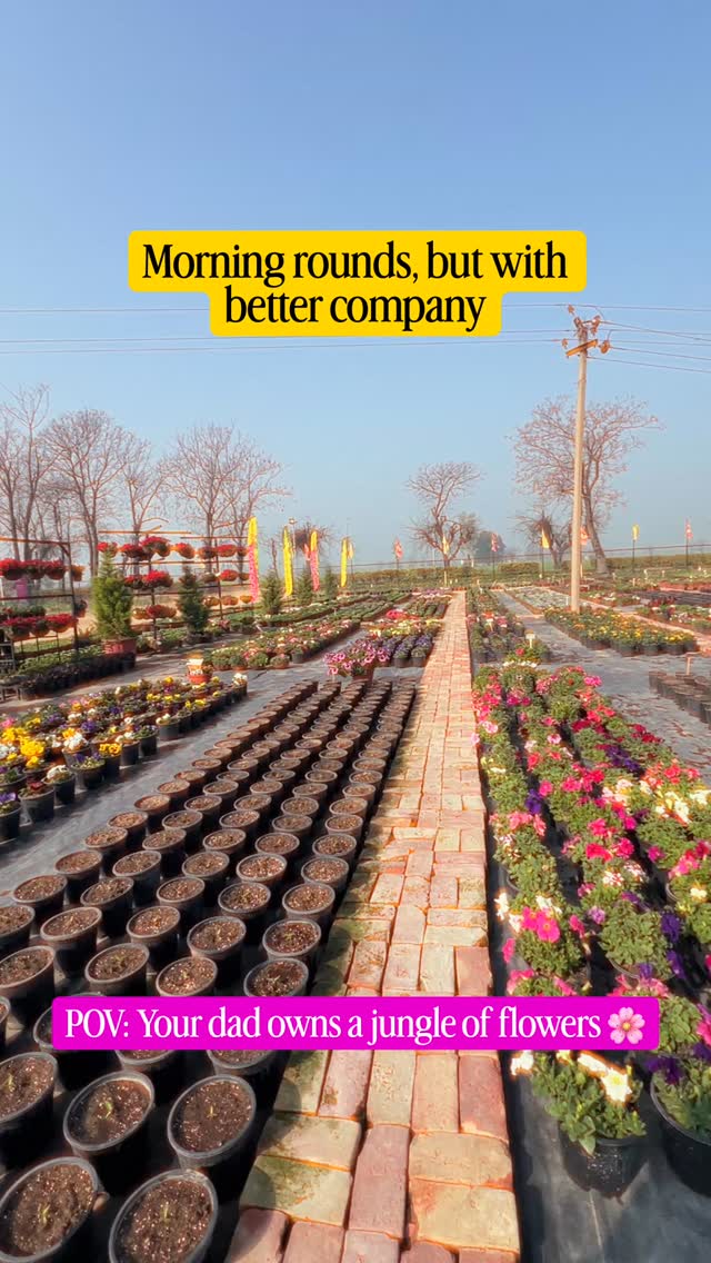 50K flower pots… and a tiny supervisor making sure everything looks perfect 🌼
Morning rounds feel extra special when shared with little shoulders and curious eyes. Rows of colours, endless blooms, and those quiet moments that make all the hard work worth it.
If you’re around Patiala or nearby, this season is something truly beautiful to witness. 🌸
#Patiala #PatialaCity #PunjabDiaries #FlowerSeason #PatialaVibes