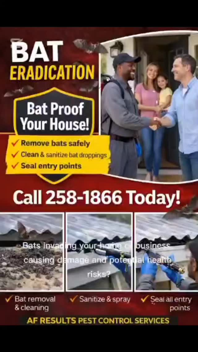 Got bats in your roof? Don't hesitate. Call us today! Tel/Whatsapp (246) 258-1866