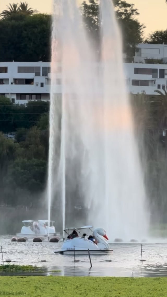CA ROUTE 66 / ECHO PARK
Sweet swan boats glide across the shimmering surface at Echo Park Lake, our next stop on Route 66.
SAVOR
Sticky Rice Bar @stickyricela
El Moro @elmoro_usa
Little Fish @littlefish_echopark
PLAY
Swan Boats at Echo Park Lake @echoparklake
The Echo & Echoplex @theechola
Dodgers Stadium @dodgerstadium
WANDER
Sunset Blvd Shopping
Micheltorena Rainbow Stairs
Elysian Park
Stay tuned for our next stops in South Pasadena and Pasadena, CA.
—
Images: ©️ Hither&Wander 2026
& courtesy of Sticky Rice and Little Fish.
See the full trip on our website. Click link in bio.
#Hitherandwander #caroute66