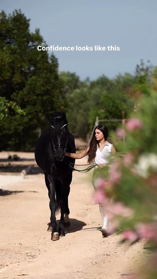 Feliz Viernes! Asi se ve la confianza, @martavillaescusab luce nuestro set beige bling bling, ✨🤍
Happy Friday! Thats what confidence looks like, @martavillaescusab with our beige blingbling set ✨🤍
📸 @ambracero @twohearts_portrait
#equestrian #dressage #ridingoutfit #equestrianfashion #rider