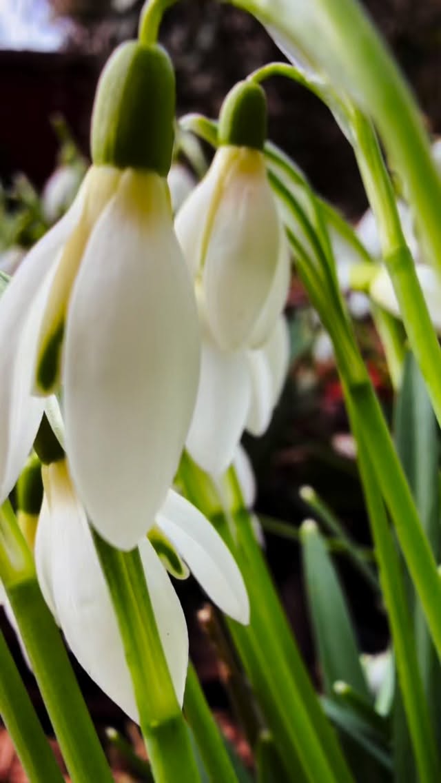De Früehlig, die Ziit wod Täg länger werdet, dNatur langsam verwached und irgendwie isch doch da au i eus amigs es uufschnuufe und verwache🙏 💕
i bi ready - du?💪🔥
STEPHANIEBUECHEL
STEPHANIEAURORA
ABTWILSG
FOTOGRAFINSTGALLEN
FOTOGRAFINOSTSCHWEIZ
RETREATSCHWEIZ
AUSZEITSCHWEIZ
ZURÜCKZUMIR
FURNA GRAUBÜNDEN
FOTOSHOOTING
STGALLEN
RETREATNORWEGEN
FOTOGREISENORWEGEN
TROMSØ
LIFECAOCH
ZYKLISCHESLEBEN
FRAUENPOWER
FRAUENCOACH
TAGESAUSZEITSTGALLEN
STEPHANIESSAFESPACE
SCHWEIZERPODCAST
PODCASTAUFSCHWEIZERDEUTSCH