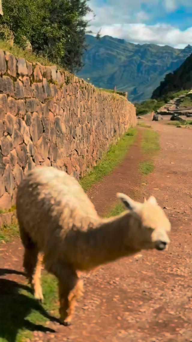 From vision board to reality ….Peru edition.❤️🇵🇪