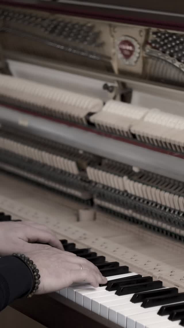 fragile playing
#praam #calm #piano #satisfying #aesthetic
piece is called ‘kintsugi’
🎥 @bimtenschop