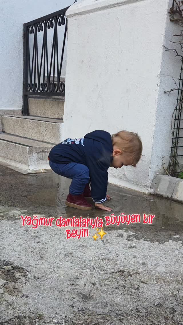Yağmur yağarken ya da yağmurdan sonra evde oturmak yerine, Merih'in dışarıda olması bir 'eğlence'den çok daha fazlası! Bilimsel olarak:
Beyin Gelişimi: Dokunma, görme, işitme... Tüm duyular harekete geçerek yeni sinir bağlantıları kurar.
Duyusal Entegrasyon: Farklı dokular (su, çimen, çamur) ve sıcaklıklar, duyusal işlemeyi geliştirir.
Bilişsel Büyüme: Suyun akışı, sıçraması, damlaması... Sebep-sonuç ilişkilerini keşfeder.
Duygusal Regülasyon: Doğanın sakinleştirici etkisiyle stresi azalır, huzurlu hisseder.✨️🍀
Ayrıcaaaaa en iyi oyuncak çoğu zaman doğanın kendisidir! 😍 Sizin bebeğiniz yağmurda oynamayı sever mi?
.
.
.
#BebekGelişimi #DuyusalOyun #merihbebek #bebek #annebebek bebek etkinlikleri