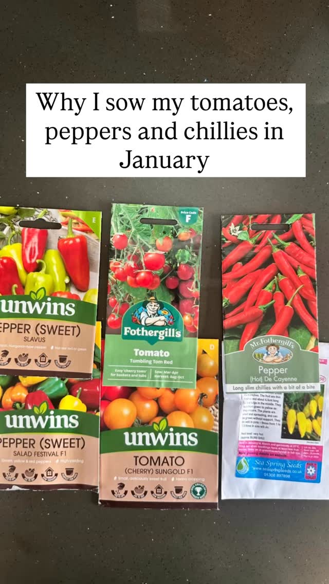 I tend to get a bit of flack when I say I start my chillies, tomatoes and peppers in January! I am fully aware that with most seeds they will catch up if sown in the later months of March and April. However,peppers and chillies especially have a long growing period, and if I plant (inside) early I know I am guaranteed a harvest before the nights draw in and the earth cools down. I can be harvesting my tomatoes by the end of June through to end of October. I mean, whatās not to love about that? When do you plant yours and why? š¶ļøš
š« #allotmentuk #growyourown #fieldtofork