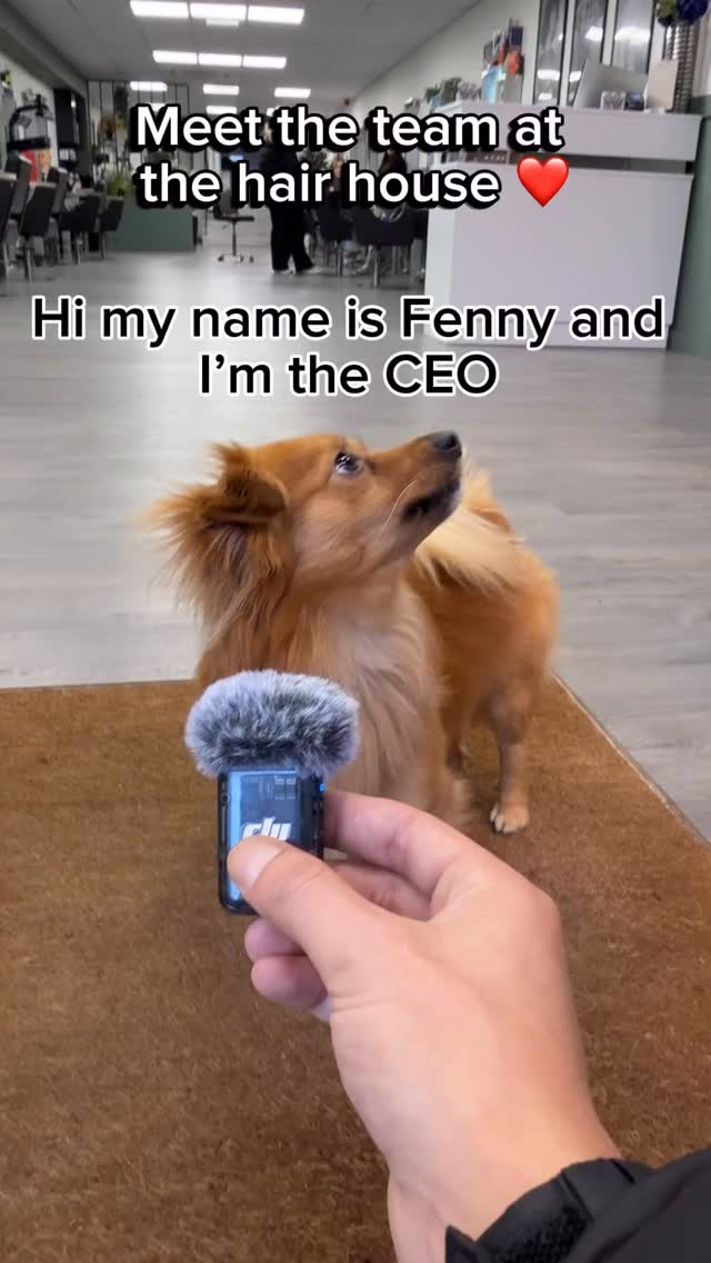 ✨ Meet the team! ✨
We’re the quirky, cute little huge independent salon tucked away in Newcastle-under-Lyme 💖
Full of personality, big on vibes, and even bigger on making you feel fabulous!
We can’t wait to see you all soon ❤️