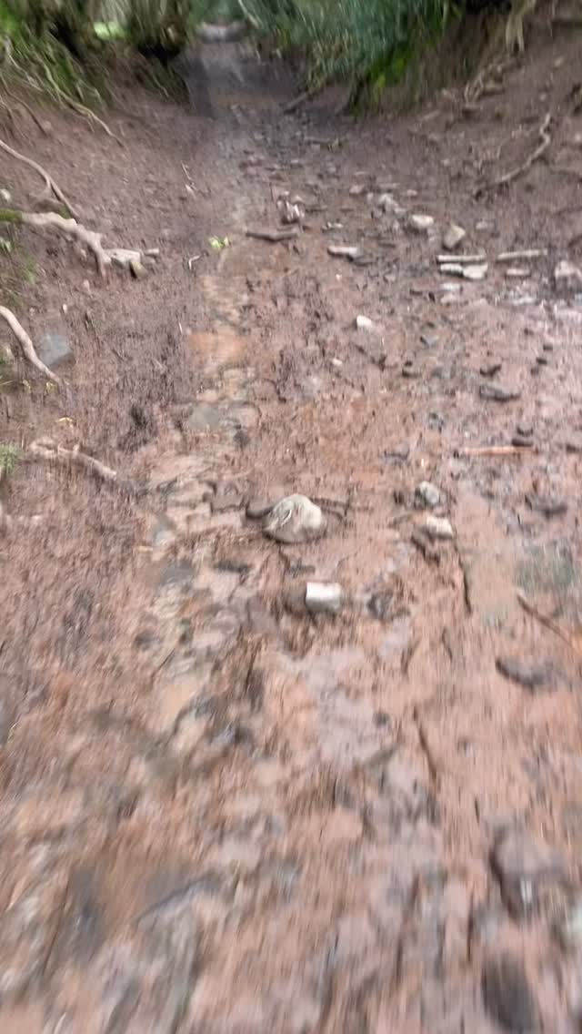 Out in the hills 🥰
Bath Trail Runners and Bristol Trail Runners doing their thing in the Black mountains today.
Lots of fun, lots of chat, and lots of varied snacks; the menu included:
Hash browns - inspired 😋
Jelly babies - classic 👌🏻
Carb mix in bottles - standard 👍🏻
New potatoes - tried and tested 👊🏻
Sardines in a spicy sauce?! - you’re on your own with that one, Ollie! 🐟😅
A brilliant morning out with some runners getting their eye in on the mountains while others taper for Transgrancanaria- a great way to encourage each other and share valuable wisdom. And thats what we’re all about! 💚
#mountains #teamwork #trailrunning #sunday #longrun