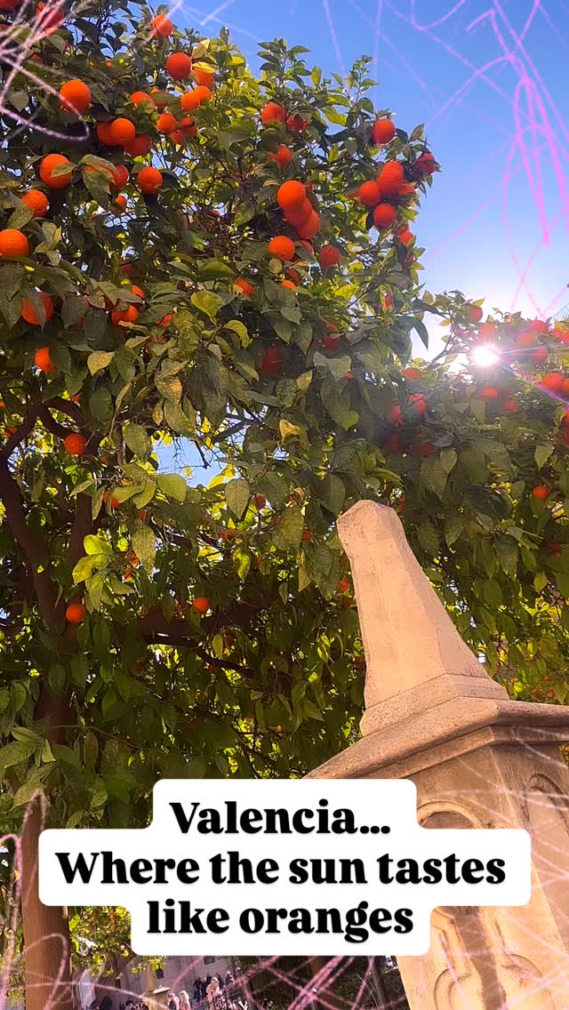 Summer’s here and Valencia is already rocking 25°C! Beaches, paella, and vibes you can’t Instagram enough…
Enjoy our reel…
Why wait? Your sunny adventure starts now! ☀️
.
.
#valencia #visitvalencia #getinvolvedvalencia #gezelligfietseninvalencia #citytravel