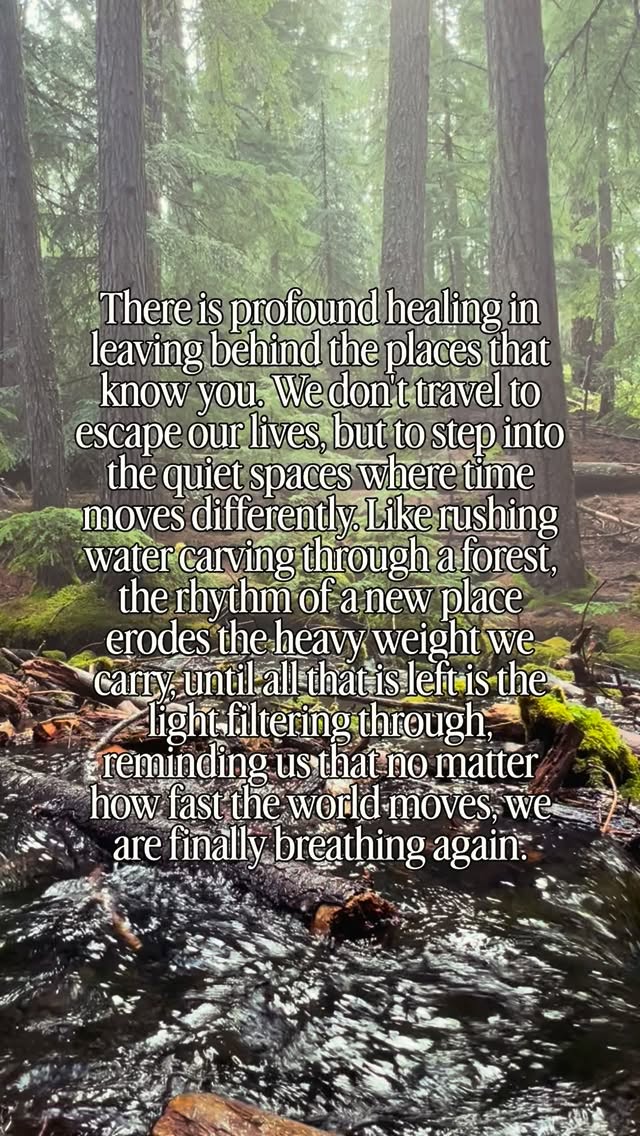 Send this to someone who needs a reminder to breathe today. 😮💨🌲 There is so much peace waiting for us out there. #natureheals #HealingJourney #innerpeace #quoteoftheday #dailyinspiration