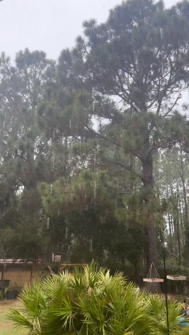 When was the last time you sat, with your eyes closed, and listened to the rain. I’m always amazed by how my other senses are heightened when I close my eyes. Today it was the sounds of the varying pitter pats of rain, the cool breeze against my skin, and the fresh smell of the rain mixed with the pine trees… #nature #alittlesliceofheaven #connectwithnature #connectwithyoursenses #rain