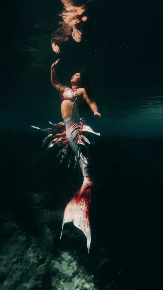 There was a version of me that almost stayed small.
Growth isn’t always loud.
Sometimes it’s quiet.
Sometimes it’s underwater.
Sometimes it’s just choosing to rise again.
Before the bloom, there’s the becoming.
One breath at a time.
Keep rising. 🌊✨
📸 by @finsandfairies
Tail & Top by @finfolkproductions
