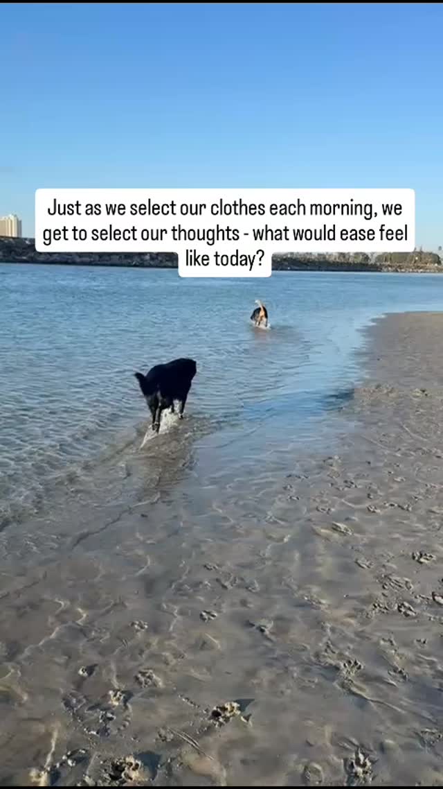 🤍
#mindsetmatters #personalgrowth #transformyourlife #growthmindset #mindsetshift