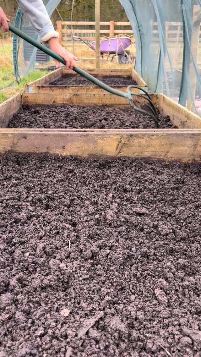 Therapy in its simplest form. Volunteer and grow with us.
Link to join us in the bio
#Grounded #FarmTherapy #AllotmentLife #WellnessThroughNature #SlowDown