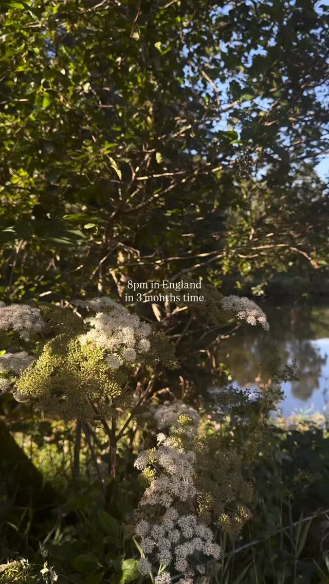 This is your sign to book your Summer 2026 Staycation Motorhomes holiday NOW…
☀️ 🙌 🚐