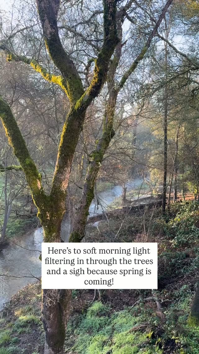 I feel like Elizabeth Bennet standing on a hill in Derbyshire!
Spring is coming, friends! For now, when I’m not working, I’m typing away on my laptop! I can’t wait to share my new blossoming story with you! 🌱
#cozyfantasy #romancebookstagram #writingcommunity #springishere #amwritingfantasy