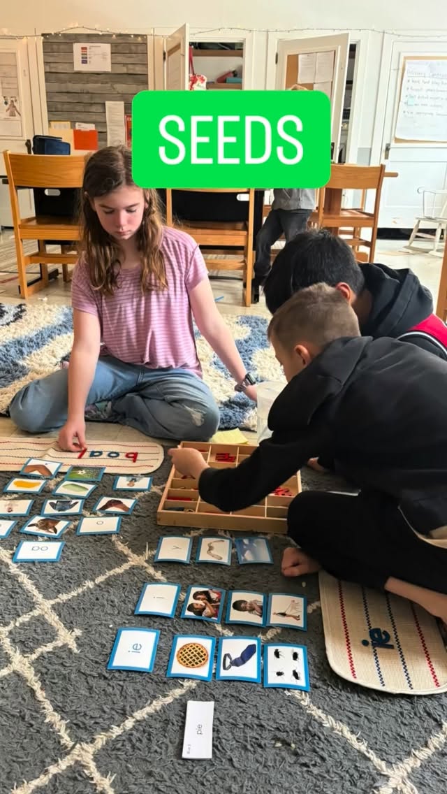 Seeds Academy: An Acton Academy is currently hosting tours to welcome interested families. We have spots available for the fall in our Spark Studio (K-1), Discovery Studio (2-5), and our Explorers Studio (6-8). If you’re curious about what we do, pay us a visit or try out our summer camp!