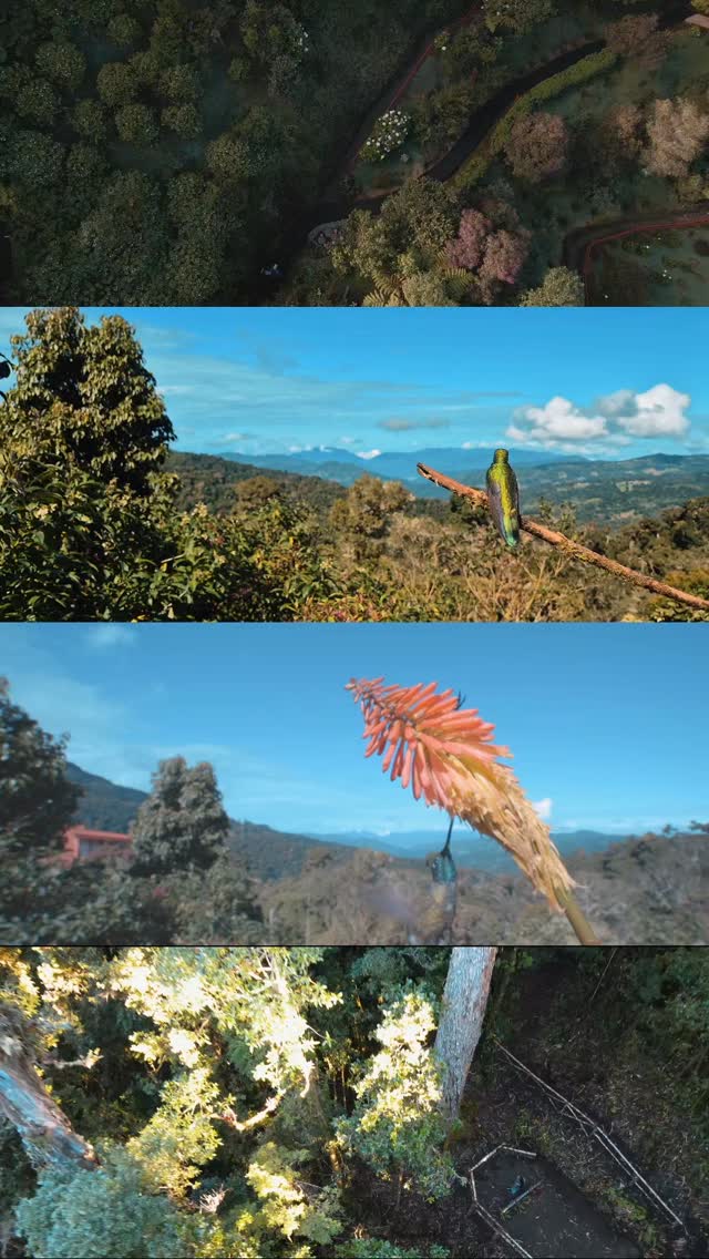 ¿Buscando el plan perfecto para este finde? ☁️☕️
Escapate del calor y la rutina con nuestro Pase de Día. Vení a respirar el aire puro del bosque nuboso, disfrutá de una deliciosa gastronomía y conectá con la naturaleza en su estado más puro.
🗓️ ¡Te esperamos para un día diferente en la montaña!
💬 Reserva tu pase del día vía WhatsApp: 8392-8298
#ExploraParaisoQuetzal #DayPass #PaseDeDia #CostaRica #TurismoLocal