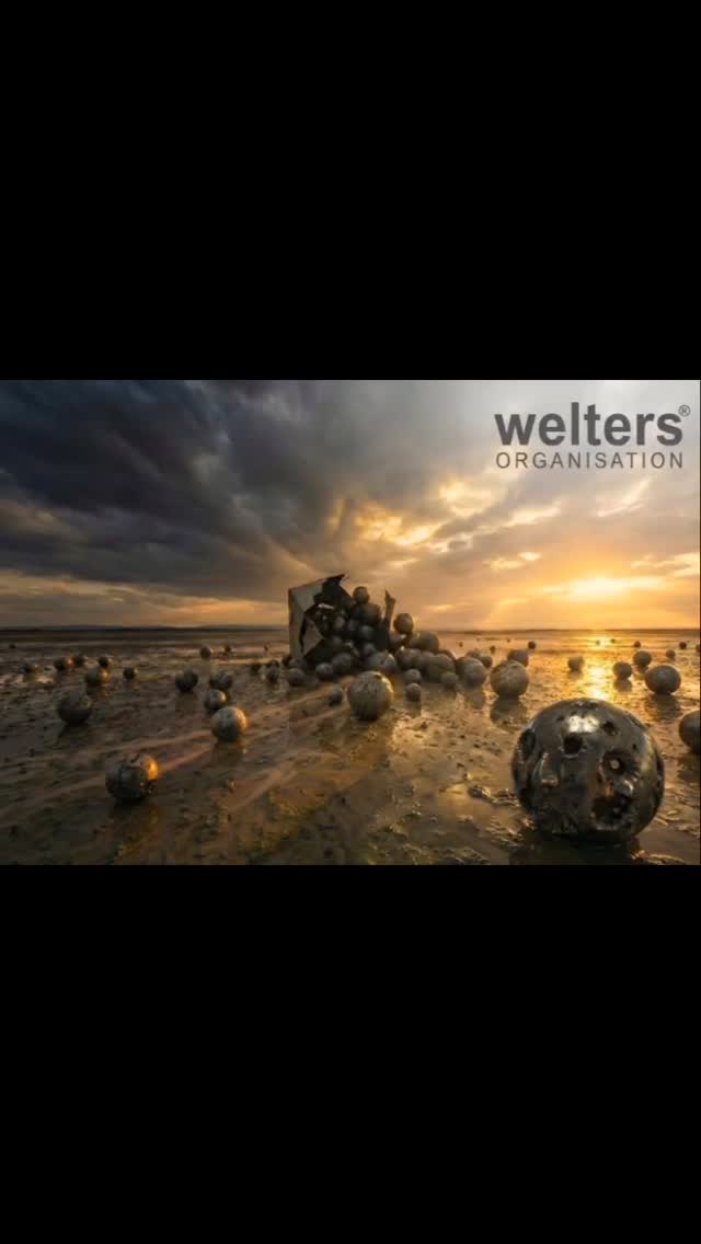 Post-Storm Emergence.
Visit www.welters-worldwide.com
#life #biota #welters #art #evolve