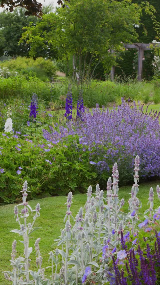 Dreaming of sunnier days?!
This beautiful Sussex country garden is a reminder that brighter days are on their way!
Now is the perfect time to start planning for the season ahead, whether it’s refreshing your garden design, preparing for planting, or simply looking forward to milder days.
If you’re thinking of designing your garden give us a call we’d love to help!
ABOUT: Joe Perkins Design is a multi-award-winning landscape design consultancy, creating innovative outdoor spaces that celebrate the environment, wildlife, and biodiversity. Working across the U.K. and internationally, we partner with clients who share our passion for sustainable and visionary design. Discover more about our work at: joeperkinsdesign.com
📸: @aguittenyphoto