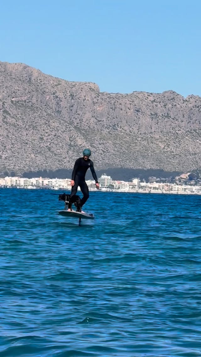 Nuestro mejor amigo también se suma al e-foil.. ¿Tú qué estás esperando? #efoil #efoiling #efoilexperience l