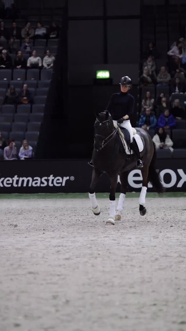 HIHS highlights from Thursday 🦄
@stellahagelstam @iituhurskainen @anni.hjerpe @annavonwendt @helsinkihorseshow @srl.koulukomitea
www.heidilammi.com