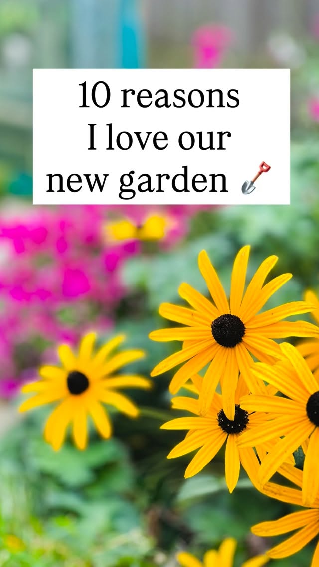 Last summer, we took on a massive blank canvas and a whole lot of weeds. Even though weāre renting, our landlady gave us the green light to go wild, and we definitely did. A lot of sweat (and maybe a few tears) later, we finally have our happy place.
But weāre just getting started. The 2026 plans are already blooming! š¼ #gardentransformation #gardendesign #gardeninspiration