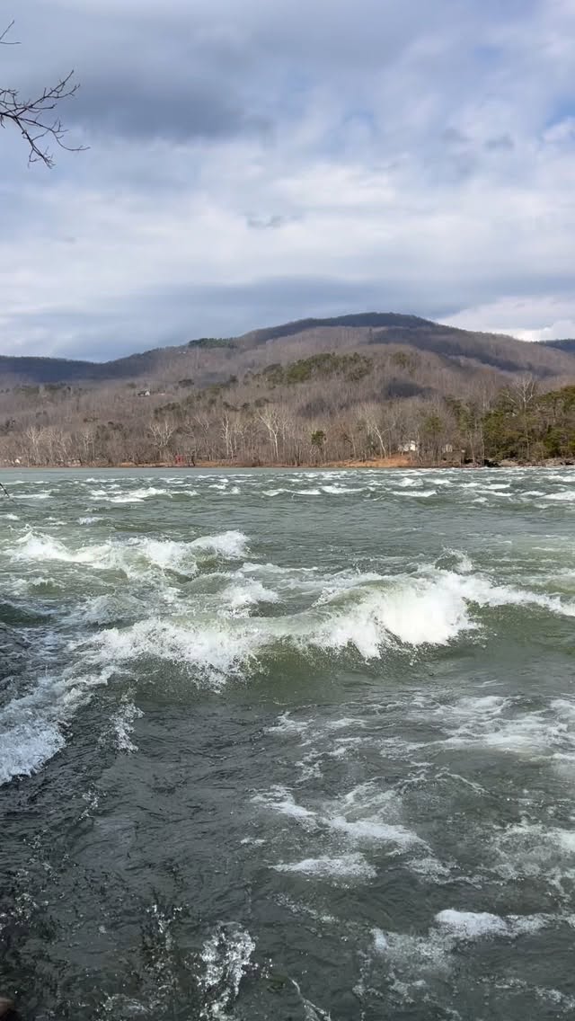Be honest, how ready are you for river season?
Brooks Falls is already doing its thing.
Summers County, WV
#exploresummerscounty #newrivergorge #almostheaven #gotowv #visitwv