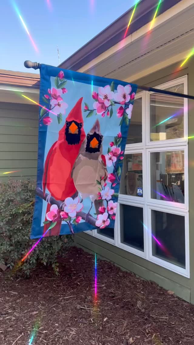 โ๏ธ๐โ๏ธ Sunshine, Warmer Temps, & that Fresh North Carolina Air! โ๏ธ๐ #dscmm28 #northcarolina #visitcamdennc #dismalswampnc #historicdismalswampcanal