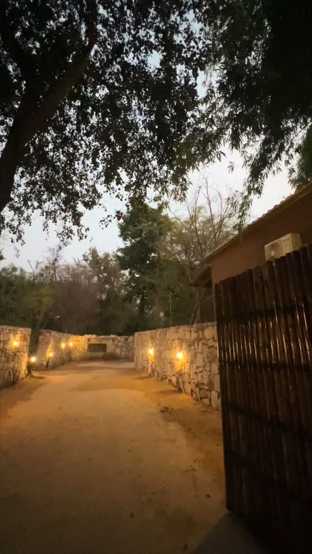 Discover the perfect jungle escape at Tiger Machan Resort, Ranthambhore 🐅🌿
Spacious luxury rooms, sparkling swimming pool, peaceful nature views, delicious restaurant & buffet, hygienic washrooms, and thrilling Jeep & Jungle Safaris in the Tiger Reserve — all in one unforgettable stay.
✨ Where comfort meets the call of the wild.
📞 Book Now: +91 9950521870
📍 Village Kutalpur, Ranthambhore Road, Sawai Madhopur, Rajasthan
#TigerMachanResort #Ranthambhore #LuxuryJungleStay #TigerReserve #JungleSafari JeepSafari WildlifeExperience NatureRetreat TravelRajasthan ResortLife SafariVibes WeekendGetaway IncredibleIndia