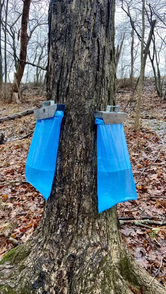 First boil of the season! If you want to learn more about the syrup process, we will be tapping trees Wednesday afternoon, collecting sap Friday afternoon, and boiling on Saturday. Don’t forget to check out our lodging on Airbnb. Hope to see you! #gvsualumni #armylife #veterans #michiganveterans #newaygocounty