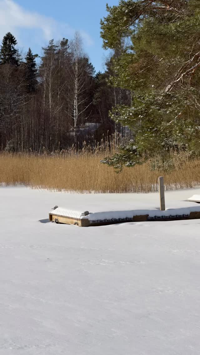 The days are getting longer.
The sun is actually showing up to work.
And the cold? …well, it’s at least thinking about taking it easy. 😏
Don’t get us wrong — it’s still very much winter out here in the archipelago. The ice isn’t going anywhere just yet. But… 👀
We’re starting to sniff something in the air.
A tiny hint.
A little whisper…
Spring is warming up in the bullpen. 🌤️
Hip hurray — brighter days ahead!
And until then… we enjoy every crisp, sunny winter minute out here. 💙
#seasport #pellinge #pellinki #porvoonsaaristo #visitarchipelago