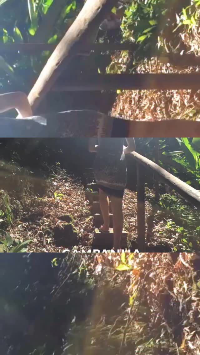 Bora juntos aproveitar este momento planetário para criar um novo, a nova humanidade, novo viver no planeta?
esta é a verdadeira ciranda, a ciranda da humanidade, onde de mãos dadas fazemos, manifestamos aquilo que sozinhos é impossível.
Nossa manifestação coletiva é fruto do pensamento, emoção, atitudes, e sonhos de cada um de nós. Está pronto pra essa ciranda?
Sua atitude influencia minha vida, assim como a minha atitude influencia a sua e nessa consciência alinhamos a um planeta onde todos os seres viventes aqui são felizes. 🦋🙏🏻
Se o convite tocou seu coração digite um grande sim pra saber mais sobre ANDAR DE BEM COM A VIDA!
Um festival internacional que acontece em BH !
Humana aprendendo a Ser
Eu Sou aqui
Eu Sou aí
Silvana da Cunha
Cientista Intuitiva • Alquimista • Palestrante
Consteladora Sistêmica Familiar • Terapeuta Holística • Mentora
Fundadora da TQC Cura Quântica®️
e do Despertar Quântico da Consciência
www.florescimentocriativo.com