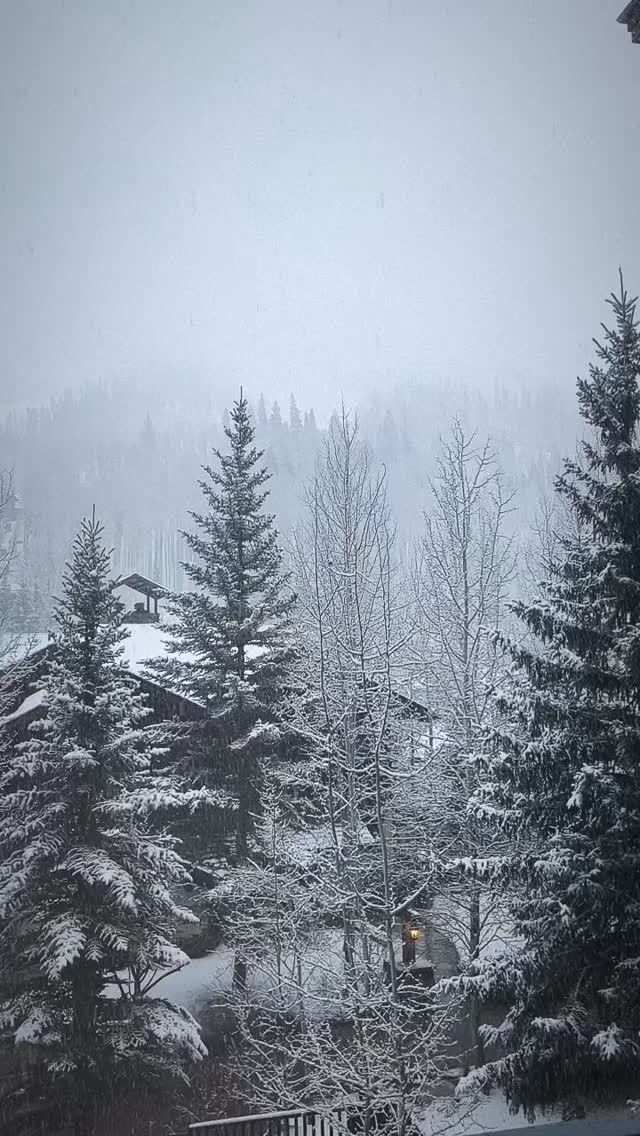 A belated thank you to @boutiquedesignmag for a wonderful week in Vail! Already looking forward to next year ❄️