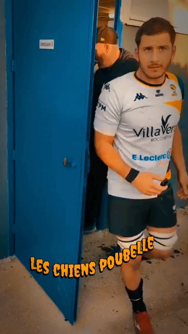 Les chiens poubelle #rugby #passion #aventure