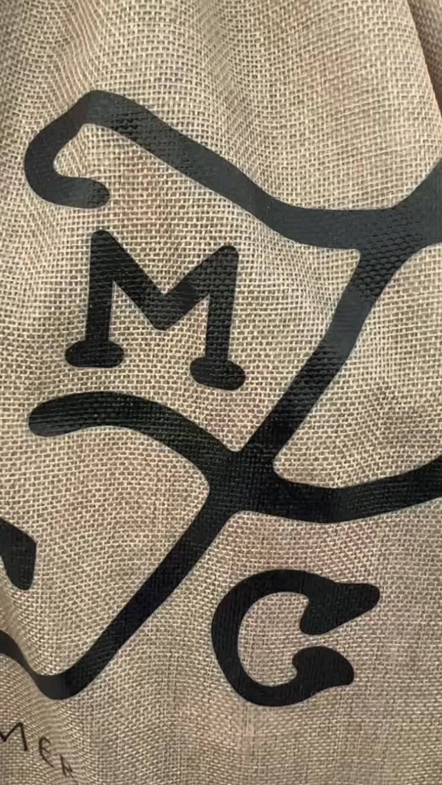 💛✨ The right environment will never require you to shrink ✨💛
@finfolkproductions