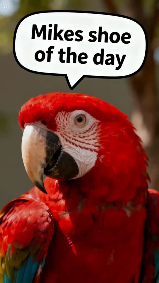 Happy Monday.
Jordan 1, grey/sail colorway.
Whats on your foot?
#gym #mondaymotivation #shoeporn #shoes #shoesoftheday