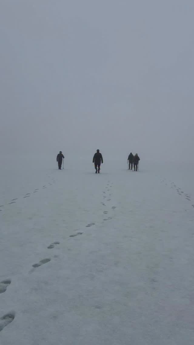 Dimma och is. Allt i samma färg.