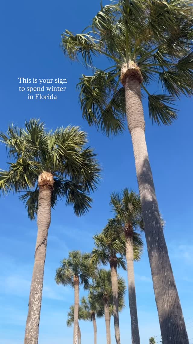 palm trees, sunshine, + a chilly breeze 🌴✨
Send this to someone who owes you a trip to Florida!
•
•
•
•
#florida #winter #sunshine #visitflorida travel