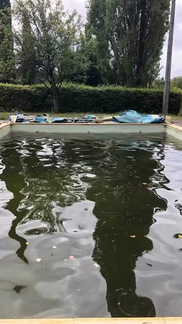 Now is the time to make sure your pool is ready for the season.
Clear water starts with good filtration, balanced chemistry and a plant room that’s working properly. A quick check now can prevent bigger problems once summer arrives.
If your liner is looking tired, don’t leave it too late — manufacturers get extremely busy once everyone opens in April and lead times are often 4–6 weeks.
If you’re unsure your pool is ready, get in touch. It’s far easier to sort things now than mid-season.
🌴www.pristinepiscines.fr #SummerInFrance
#SouthWestFrance
#DordogneLife#PoolLifeFrance
#SwimmingPoolFrance