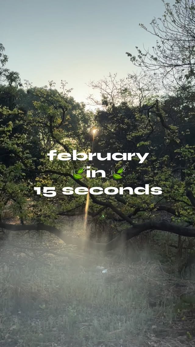 Past the usual tables.
Beyond the banyan.
Into a quiet clearing waiting to be used.
We’ve been bringing new parts of the land to life.
Thoughtfully. Gently.