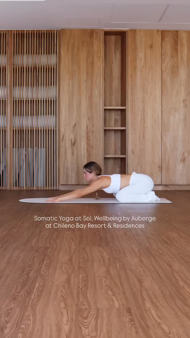We’re honored to be bringing Somatic Yoga to the weekly wellness programming at Chileno Bay Resort & Residences, Auberge Collection.
A nervous system aware, trauma-informed practice rooted in presence and felt experience.
Somatic Yoga invites guests to slow down, listen inward, and move in ways that support regulation, emotional clarity, and embodied rest.
Rather than pushing for flexibility or intensity, we focus on:
• Breath and sensation
• Gentle, intentional movement
• Nervous system repair
• Reconnection to the emotional body
In spaces dedicated to beauty and restoration, this work offers something simple and essential - the opportunity to feel safe enough to soften.
Grateful to collaborate with @chilenobayauberge in bringing embodied wellbeing to their community.
#alwaysauberge