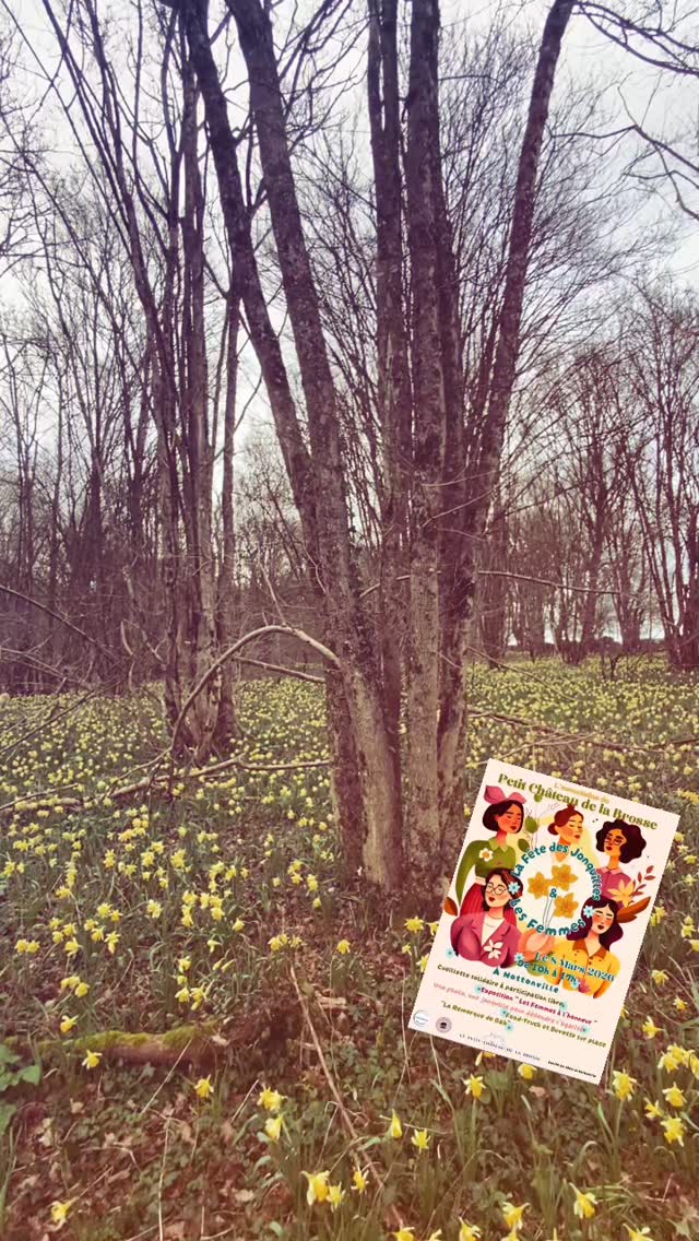 Cueillette, bouquets, expo « Les Femmes à l’honneur », buvette, food truck et photo participative.
Participation libre au profit de l’association Métanoïa, qui accompagne les personnes victimes de violences
.#petitchateaudelabrosse #8mars #jonquilles🌾🌼