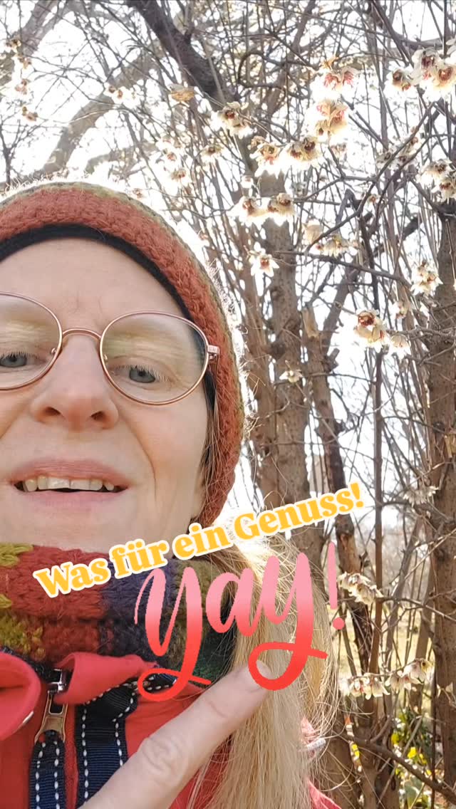 Auch die Winterblüte duftet durch den Garten.
Dir zarten Blüten sind leicht zu übersehen, von der Ferne.
Aber der Duft lockt.
😍 Und schau genau hin, die Blüten sind prächtig!
Na schon geschnuppert?
Mehr zu winterblühenden Sträuchern In meinem Blog: Link in der Bio!☝🏻👇🏻
💮💮💮
Hier der Link für Facebook:
https://www.verenaschoenauer.at/post/winterbl%C3%BCher-f%C3%BCr-den-garten
💮💮💮
#duftendesträucher #winterblüher #verenas_pflanzentanz #gartengenuss #wienergärten