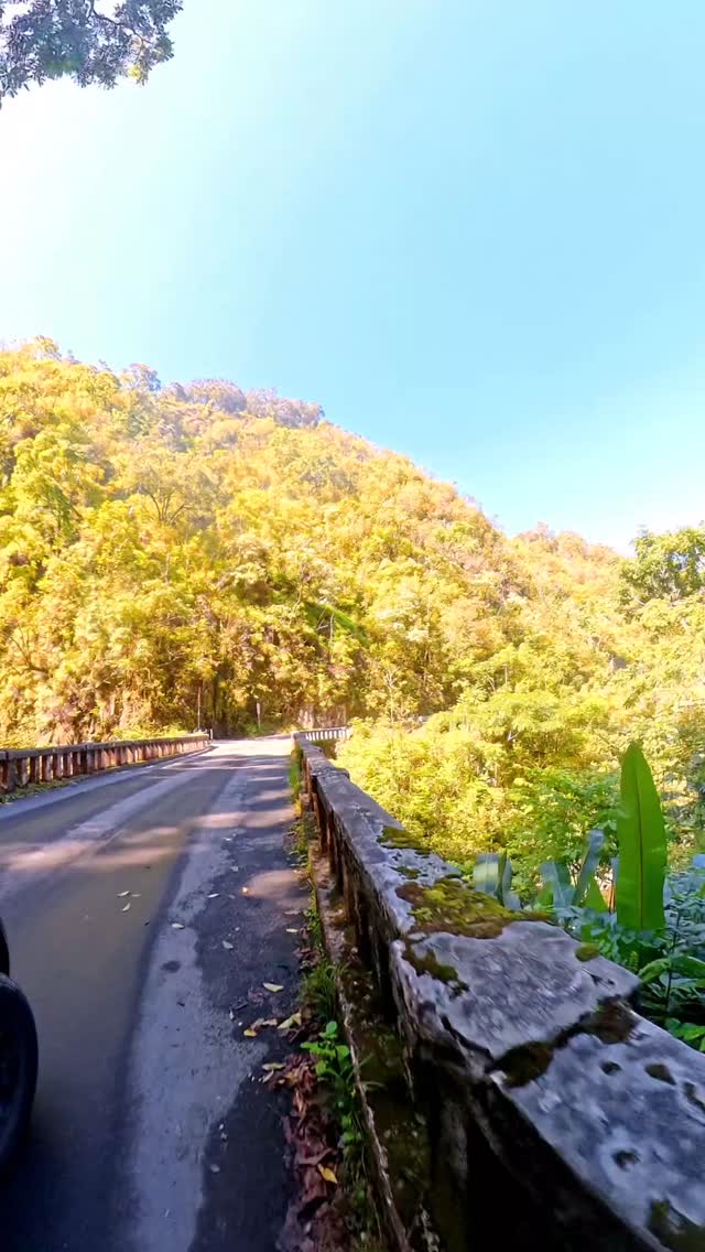 Take the long way ๐ดโ๏ธ๐
We're so ready to go back to Maui ๐๐
#Hawaii #Maui #Hana #Travel #Ocean
