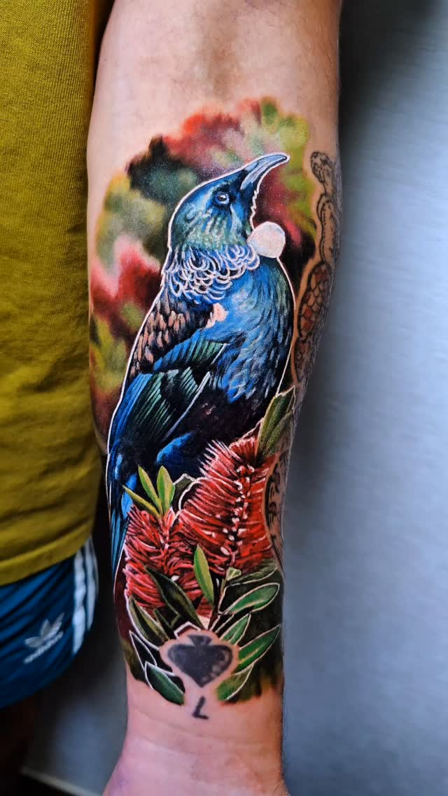Tui in bottle brush for Jonatan. Thanks buddy for making the trip! Good luck with everything that's going on in your life my man! @jonatanbullunsky
.
..
.
@intenzetattooink @eztattooing @ghostlineapp @afterart.newzealand @inkpro_nz @fkirons @hustlebutterdeluxe #intenze #intenzeink #intenzeteam #afterart #ghostlineapp