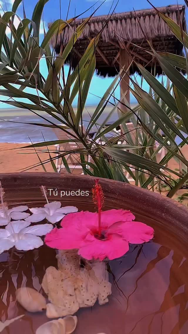 Los cambios dan miedo.
Tu cerebro está programado para repetir y tu sistema nervioso prefiere lo predecible antes que lo expansivo.
Pero el cerebro es neuroplástico: aprende a crear nuevas redes y a reorganizarse.
Y tu sistema nervioso se entrena para ser flexible: es decir no quedar atrapado en respuestas de lucha, huída o parálisis.
y así …tu vida cambia sin tanta fricción.
Tomá ese miedo inicial como un umbral. Sobre todo si -como yo- estás iniciando una nueva etapa vital, en la que priorizás otras cosas y elegís vivir nuevas experiencias.
🙌🏼 Cambiar desde la presencia y el poder es resultado de una biología entrenada y una Consciencia despierta.
Y vos estás diseñada para eso.
#neurocoaching #cerebro #identityshift #neuroplasticidad #mividaenelmar