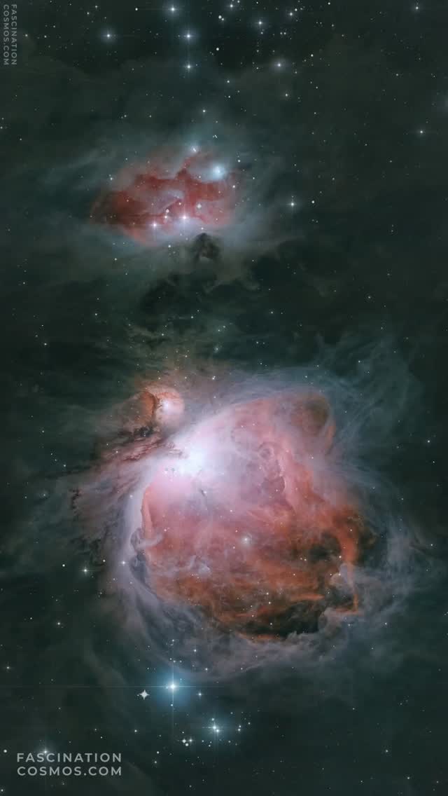 Running Man- und Orionnebel (NGC 1977, M42), Mosaik in 3 Teilen
Mit dem Orionnebel verhält es sich so wie mit einer schönen Landschaft: man kann sich nicht satt sehen, sie begeistert immer wieder von Neuem! Durch seine „Nähe“ von 1350 Lichtjahren ist der Orionnebel nicht nur bereits mit einem Feldstecher zart sichtbar, für Astrophysiker ist es ein perfektes Laboratorium zur Untersuchung und Erforschung der Sternenentstehung, also der Entstehung neuer Sonnen und ihren Planeten. Stichworte; rote Wolken der Wasserstoffatome, die ich mit meinem H-alpha Filter perfekt sichtbar machen konnte, heiße, junge und grell leuchtende Sterne im zentraler Trapez Theta Orionis. Abgerundet wird das Bild durch den „Laufenden Mann“, die phantasievolle Bezeichnung für den nördlich liegenden Reflexionsnebel NGC1977. Hier beleuchtet, also reflektiert das Licht heißer Sterne den umliegenden Staub.
Aufgenommen als Mosaik in 3 Teilen in meiner Gartensternwarte mit dem Lacerta Newton 12", 1200mm, f/4, QHY268M Monokamera mit 7 Filtern, QHY OAG-Nachführung mit ASI-174MM, SestoSenso2-Fokusser, auf Celestron CGX montiert. Belichtet mit 41 Schmalbandaufnahmen zu je 600s, 50LRGB Aufnahmen mit je 180s, in Summe mehr als 9 Stunden Aufnahmezeit. Mit Astro Pixel Prozessor, Pixinsight, Adobe PhotoShop verarbeitet und das Bild als Video animiert und vertont.
Bitte gerne meine Post weiterleiten ! Jedwede andere Art von Kopien oder Nutzung nur mit ausdrücklicher Erlaubnis des Copyright Inhabers. Bestellung von Bildern und Accessoires gerne unter https://www.fascinationcosmos.com/ oder per Nachricht an mich.
#fascinationcosmos #faszinationkosmos #franzrettenbacher #astrophotography #astrofotografie #astrophoto #astrofoto #deepsky #astronomie #astronomy #amateurastrophotography #qhy268m #CelestronCGX #Lacerta1200 #Orionnebel #M42 #NGC1967