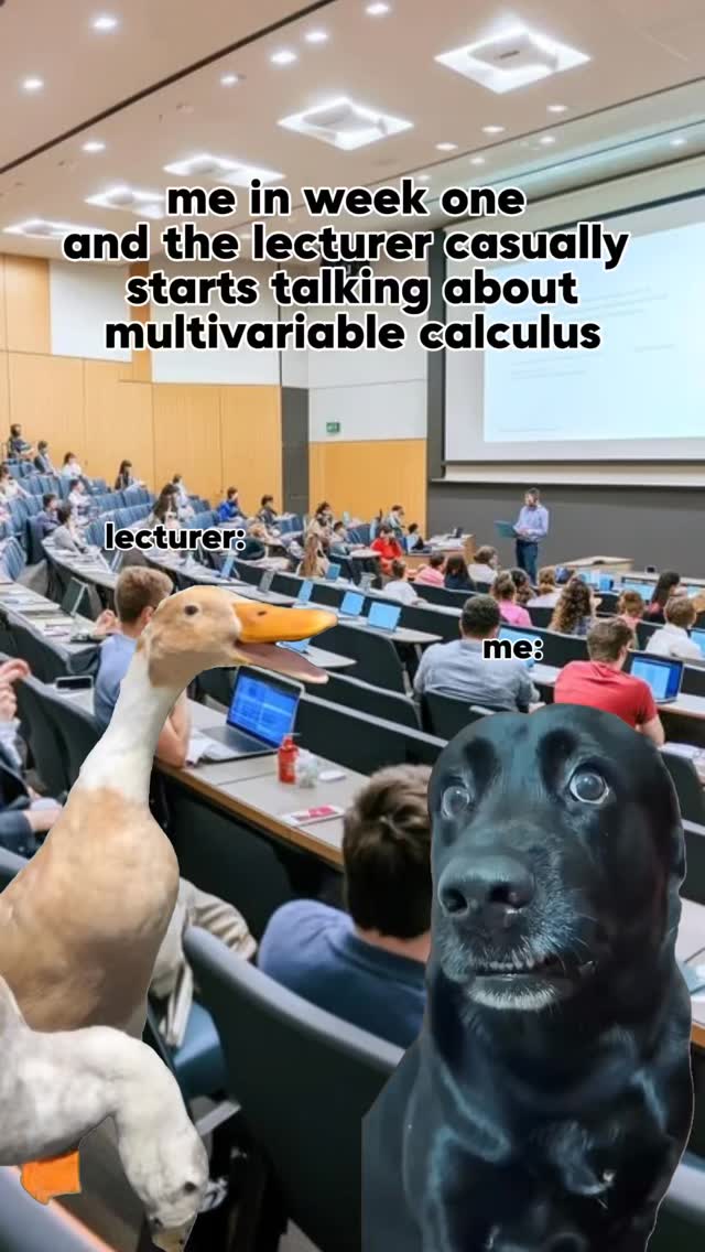 Bros talking and different language and I just found the lecture theatre 😭
If week one felt like this, you need Tutbob.
Download it before your next lecture humbles you.
#student #university #college #study #lecture